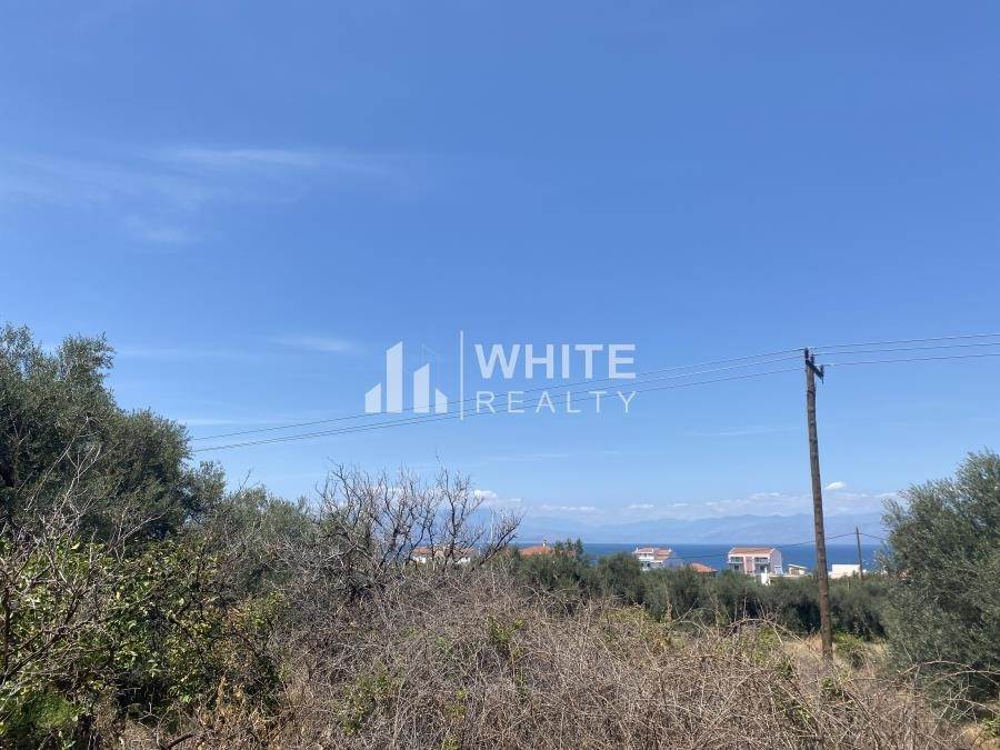 (For Sale) Land Plot || Korinthia/Evrostini - 1.000 Sq.m, 100.000€ 