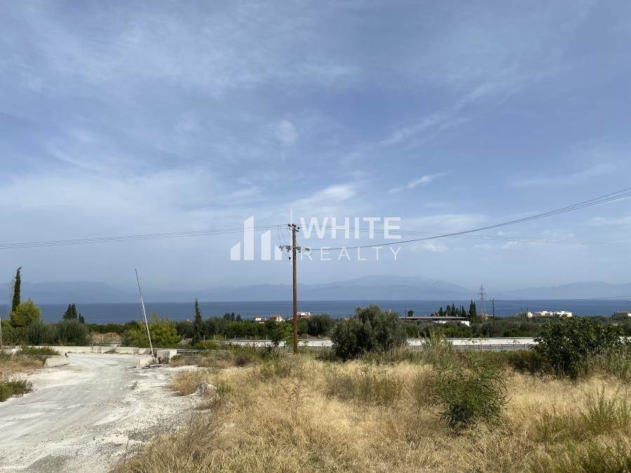 (For Sale) Land Agricultural Land  || Korinthia/Evrostini - 32.000 Sq.m, 315.000€ 