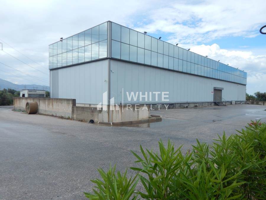 (For Sale) Commercial Building || East Attica/Markopoulo Mesogaias - 1.570 Sq.m, 1.650.000€ 