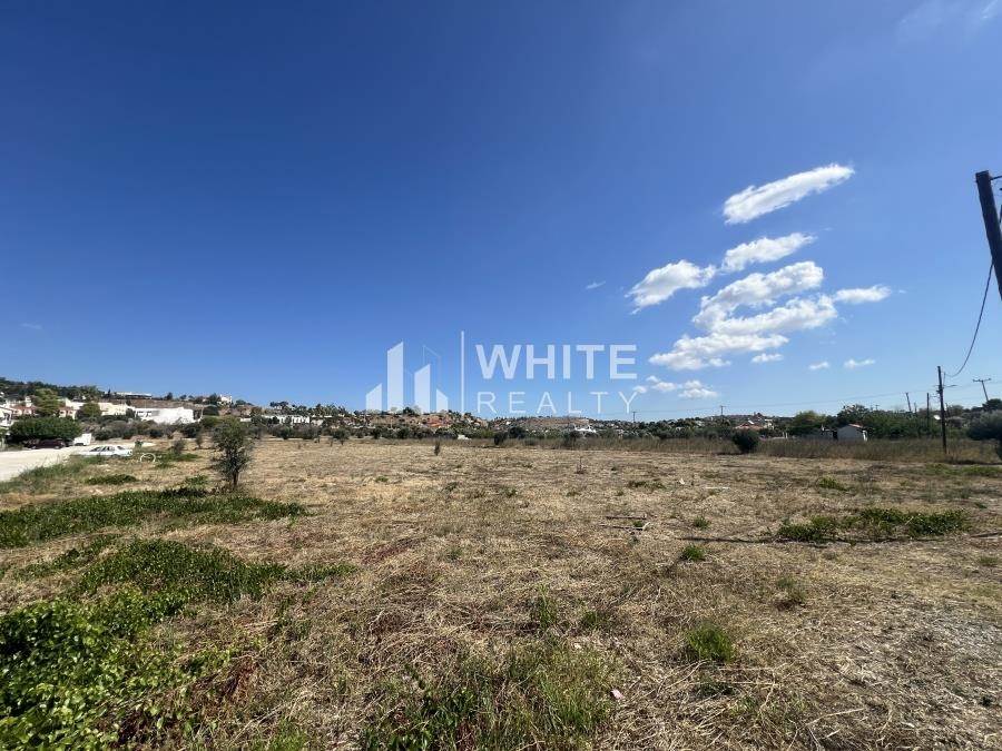 (For Rent) Land Plot || East Attica/Pallini - 8.010 Sq.m, 2.000€ 